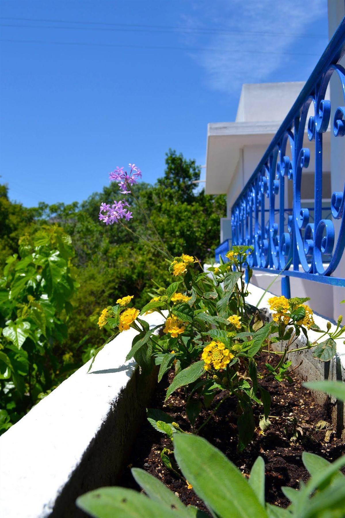 Hotell Effies Dreams Studio Rhodes City